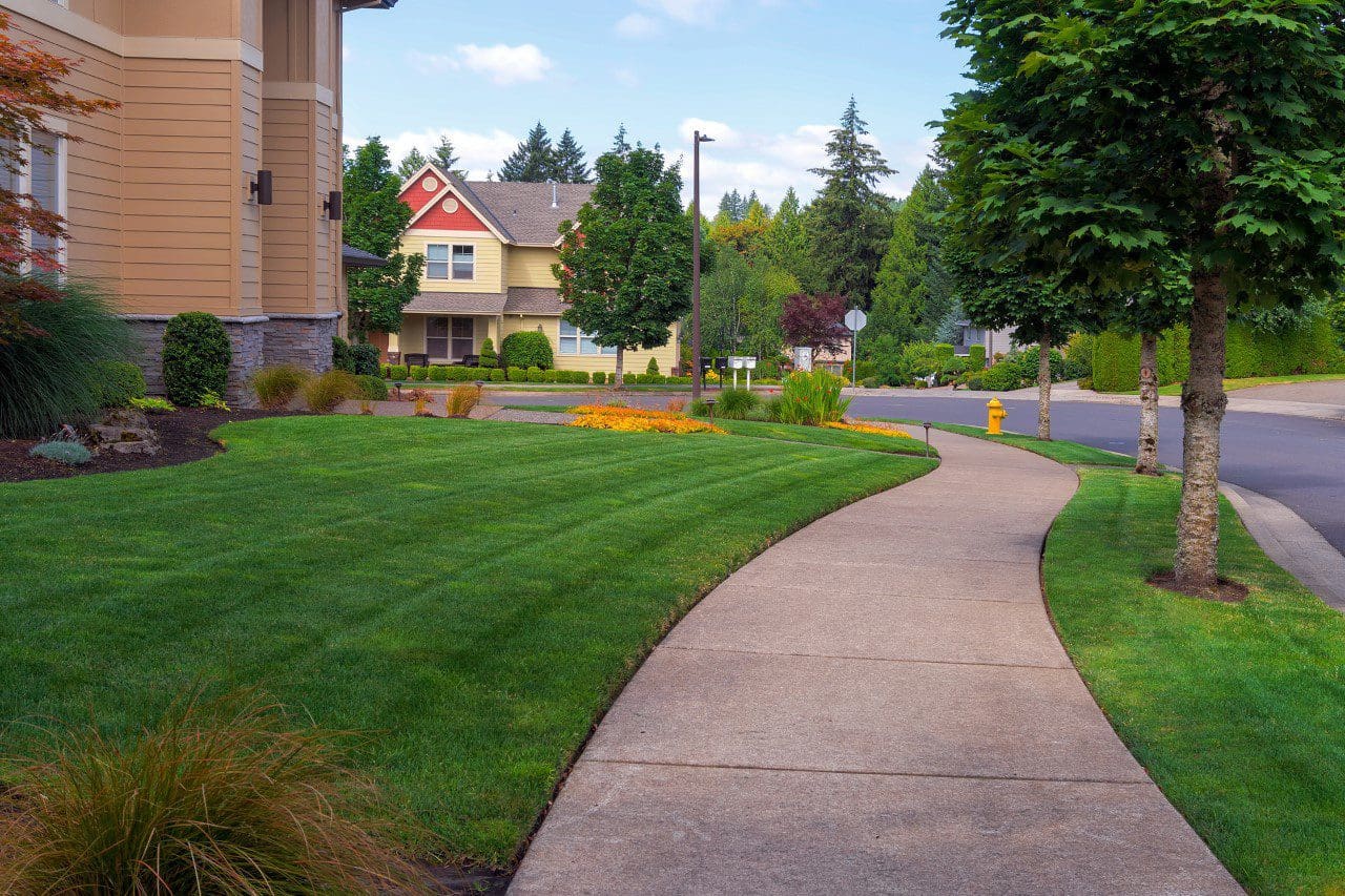 Sidewalk in a Buffalo-area residential neighborhood